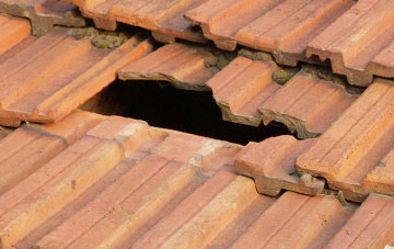 roof repair Leckmelm, Highland