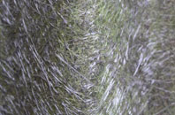 Leckmelm fibreglass roof work